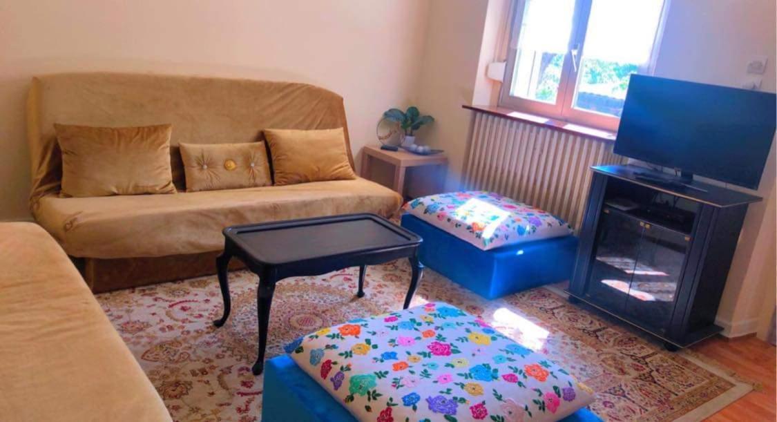 Gite "La Baloise" Colmar Zewnętrze zdjęcie