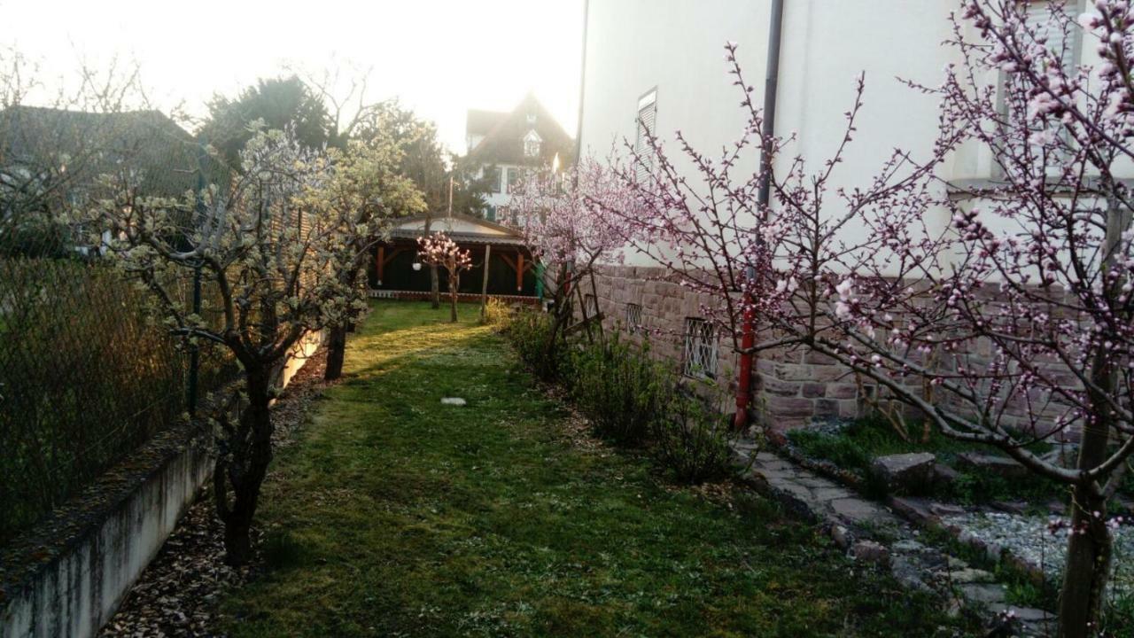 Gite "La Baloise" Colmar Zewnętrze zdjęcie